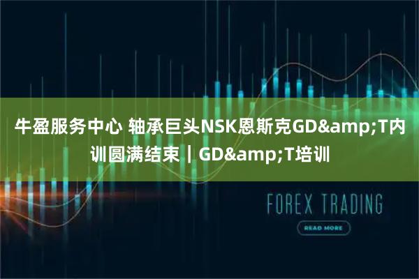 牛盈服务中心 轴承巨头NSK恩斯克GD&T内训圆满结束｜GD&T培训